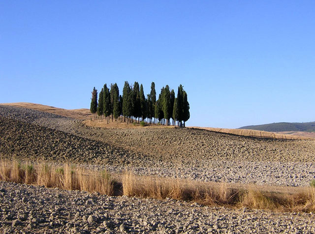 valdorcia